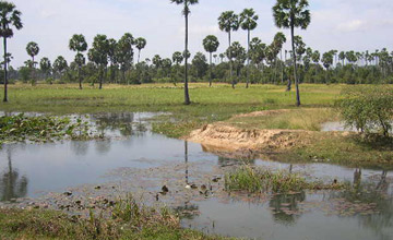 Cambodia country side